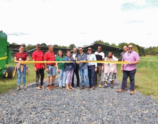 Lightstar Renewables launches NY’s first agrivoltaics project at DiMartino Farm, combining solar energy with productive farmland.