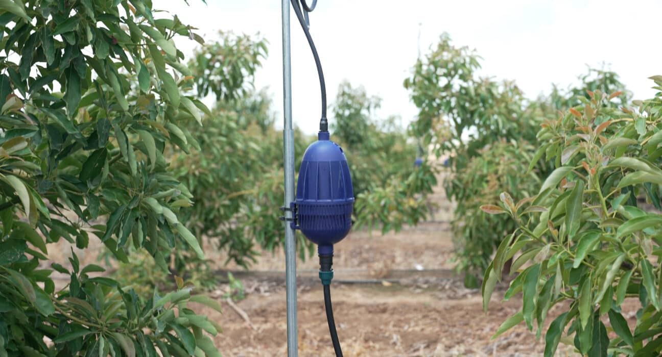 Netafim, has introduced Mega-PULSAR™, sprinkler technology designed to protect orchards from increasingly frequent and severe heatwaves.