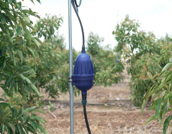 Netafim, has introduced Mega-PULSAR™, sprinkler technology designed to protect orchards from increasingly frequent and severe heatwaves.