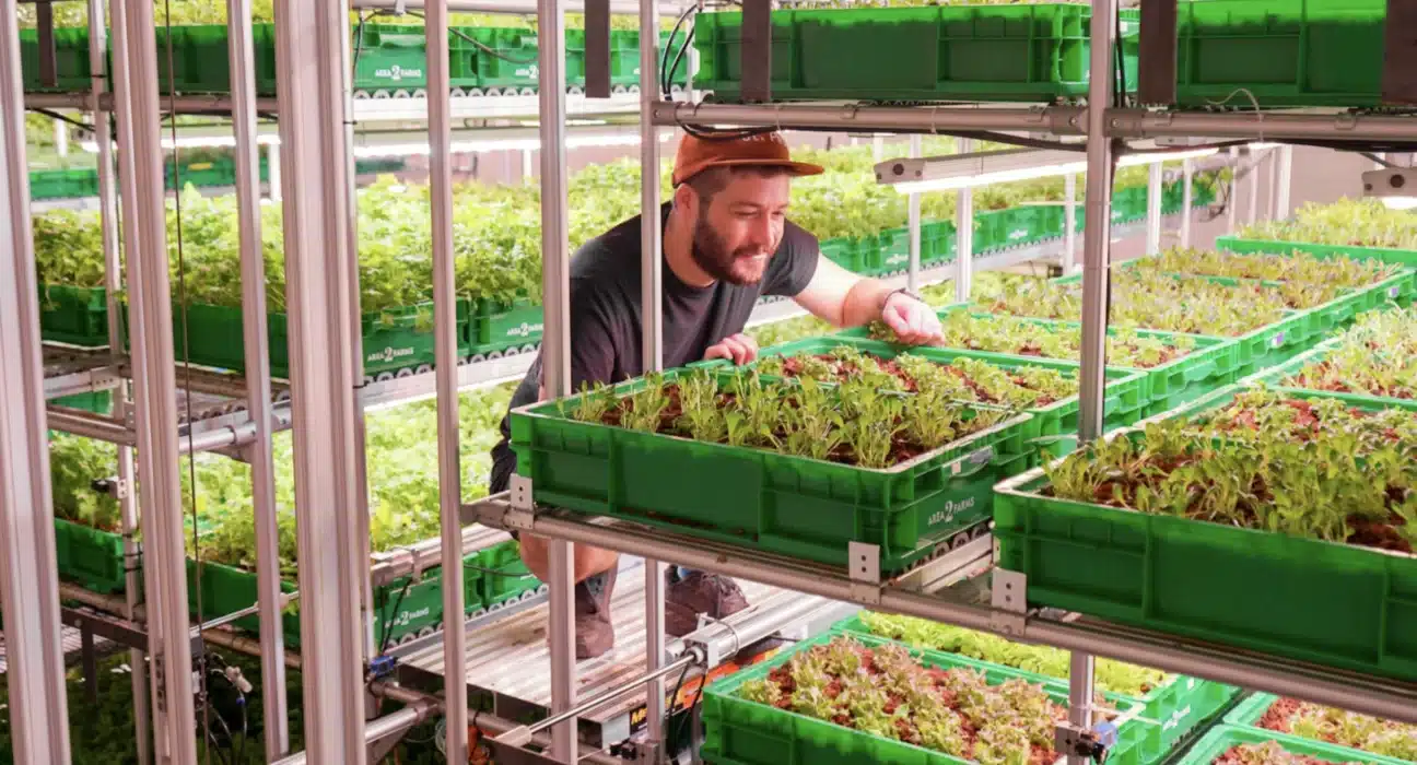 Fairfax City Economic Development (FCED) supports a new sustainable urban farm by Area 2 Farms at 9571 Fairfax Boulevard.