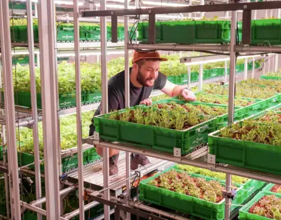 Fairfax City Economic Development (FCED) supports a new sustainable urban farm by Area 2 Farms at 9571 Fairfax Boulevard.