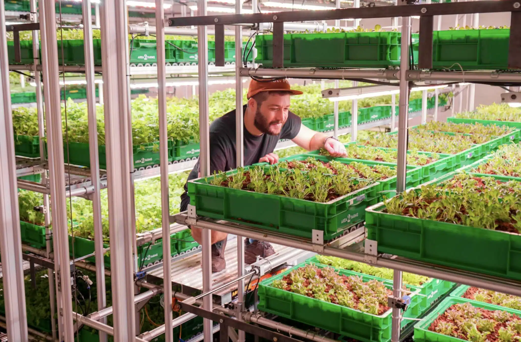 Fairfax City Economic Development (FCED) supports a new sustainable urban farm by Area 2 Farms at 9571 Fairfax Boulevard.