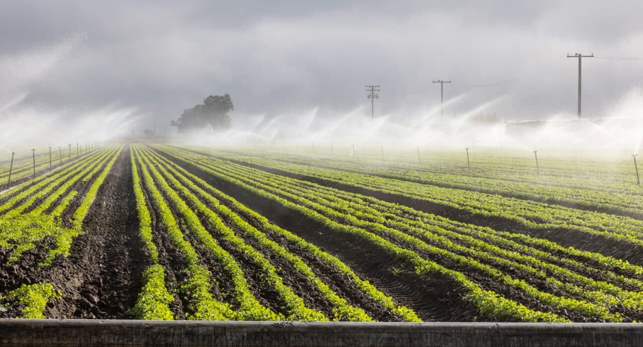 UC Merced will use $3 million in state funding to build an agricultural technology barn at its Smart Farm.