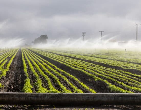 UC Merced will use $3 million in state funding to build an agricultural technology barn at its Smart Farm.