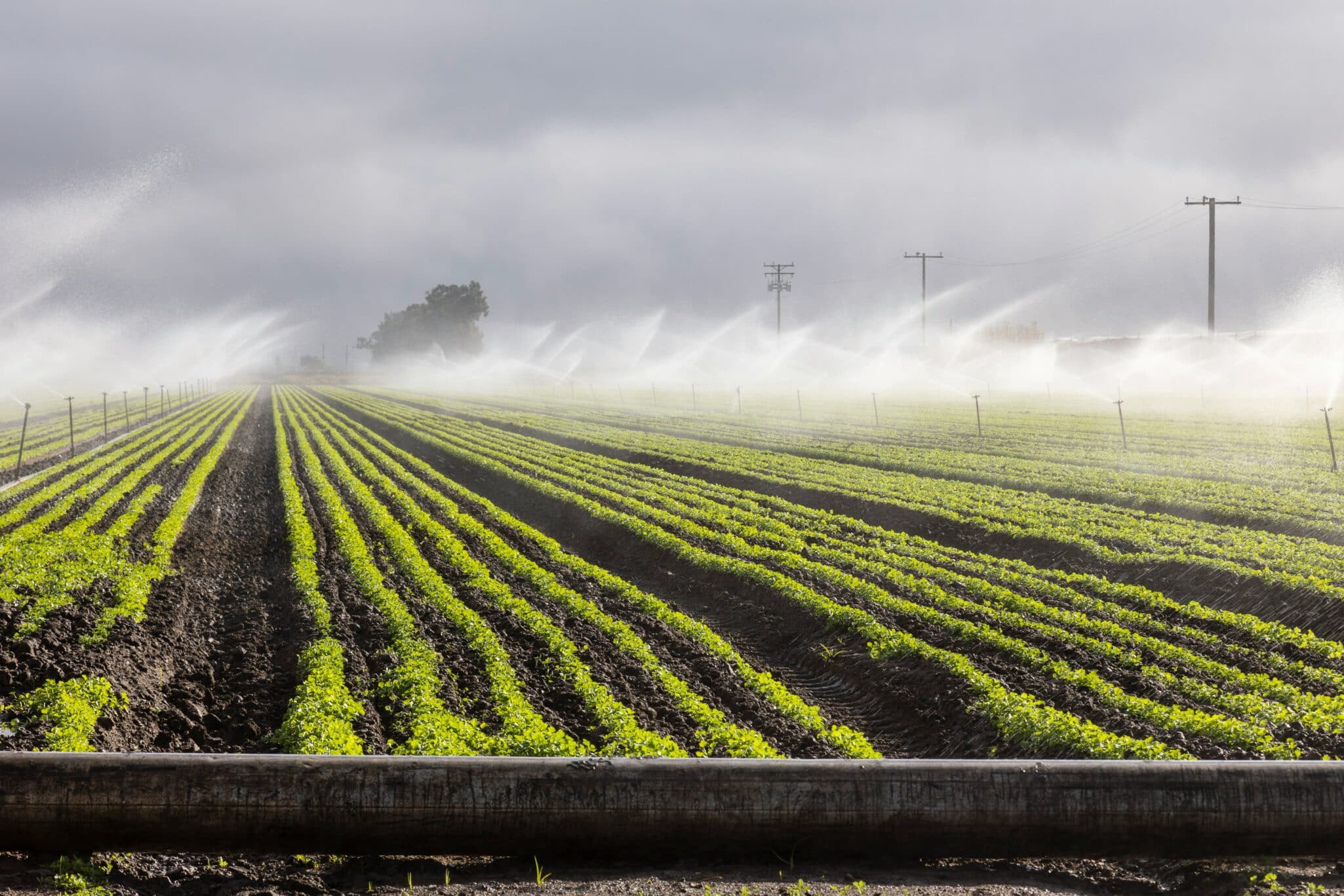 UC Merced will use $3 million in state funding to build an agricultural technology barn at its Smart Farm.