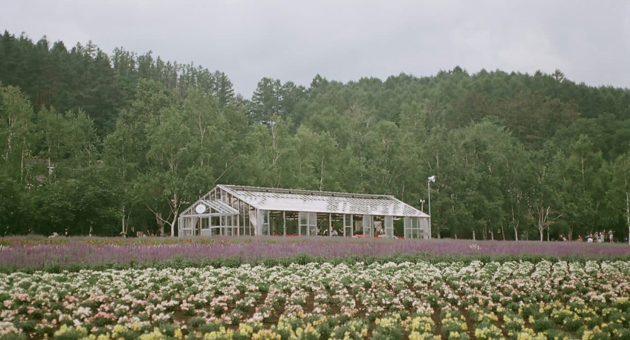 WSSA and affiliates urge USDA not to close ARS labs, citing vital roles in ag research, food security, herbicide resistance, and ecosystems.