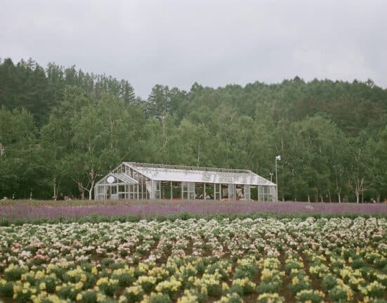 WSSA and affiliates urge USDA not to close ARS labs, citing vital roles in ag research, food security, herbicide resistance, and ecosystems.