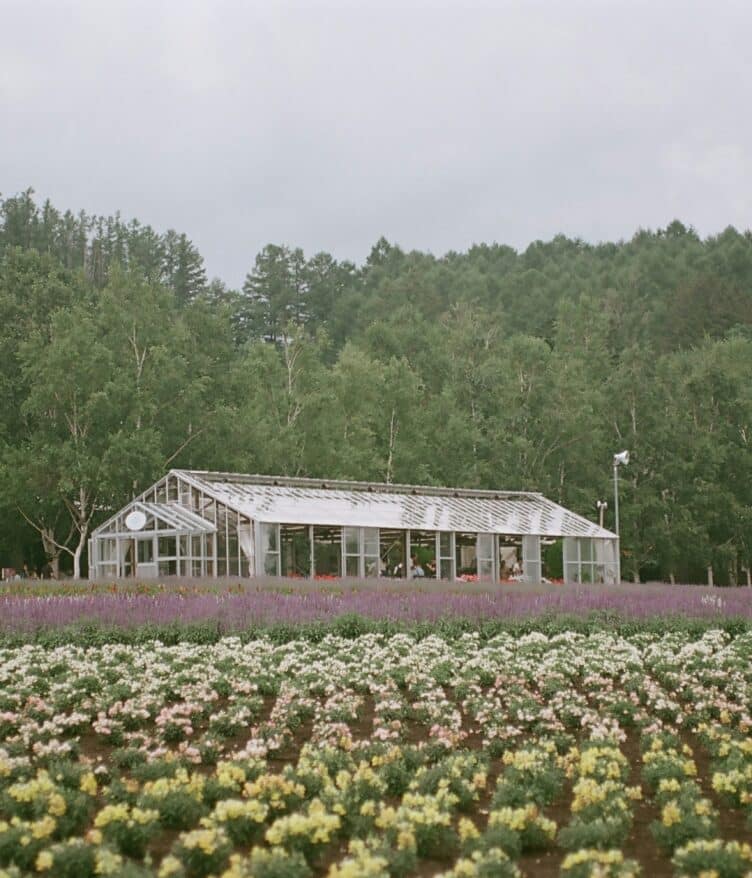 WSSA and affiliates urge USDA not to close ARS labs, citing vital roles in ag research, food security, herbicide resistance, and ecosystems.