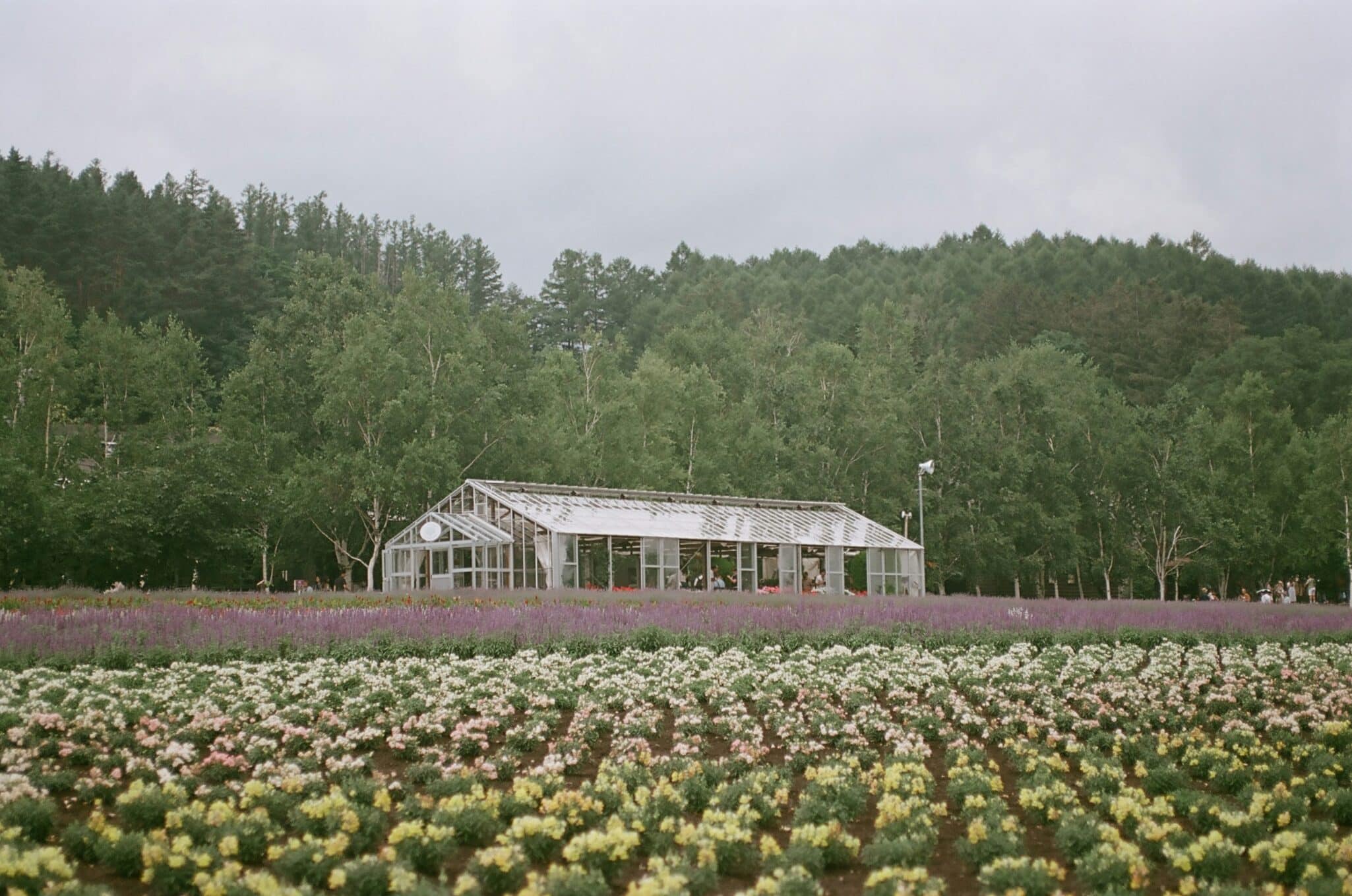 WSSA and affiliates urge USDA not to close ARS labs, citing vital roles in ag research, food security, herbicide resistance, and ecosystems.