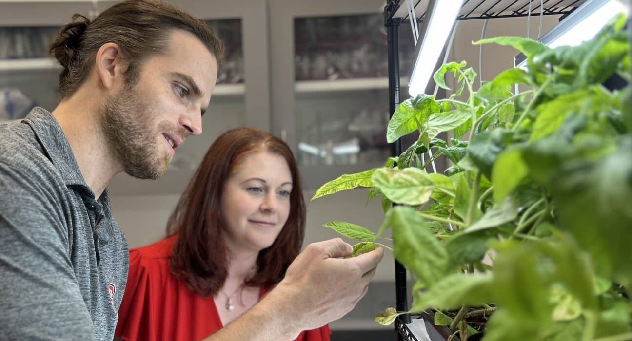 Seed2Grow, launched by the North Carolina Plant Sciences Initiative (N.C. PSI), is marking its first graduation from the ag tech incubator.