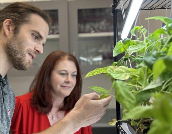Seed2Grow, launched by the North Carolina Plant Sciences Initiative (N.C. PSI), is marking its first graduation from the ag tech incubator.