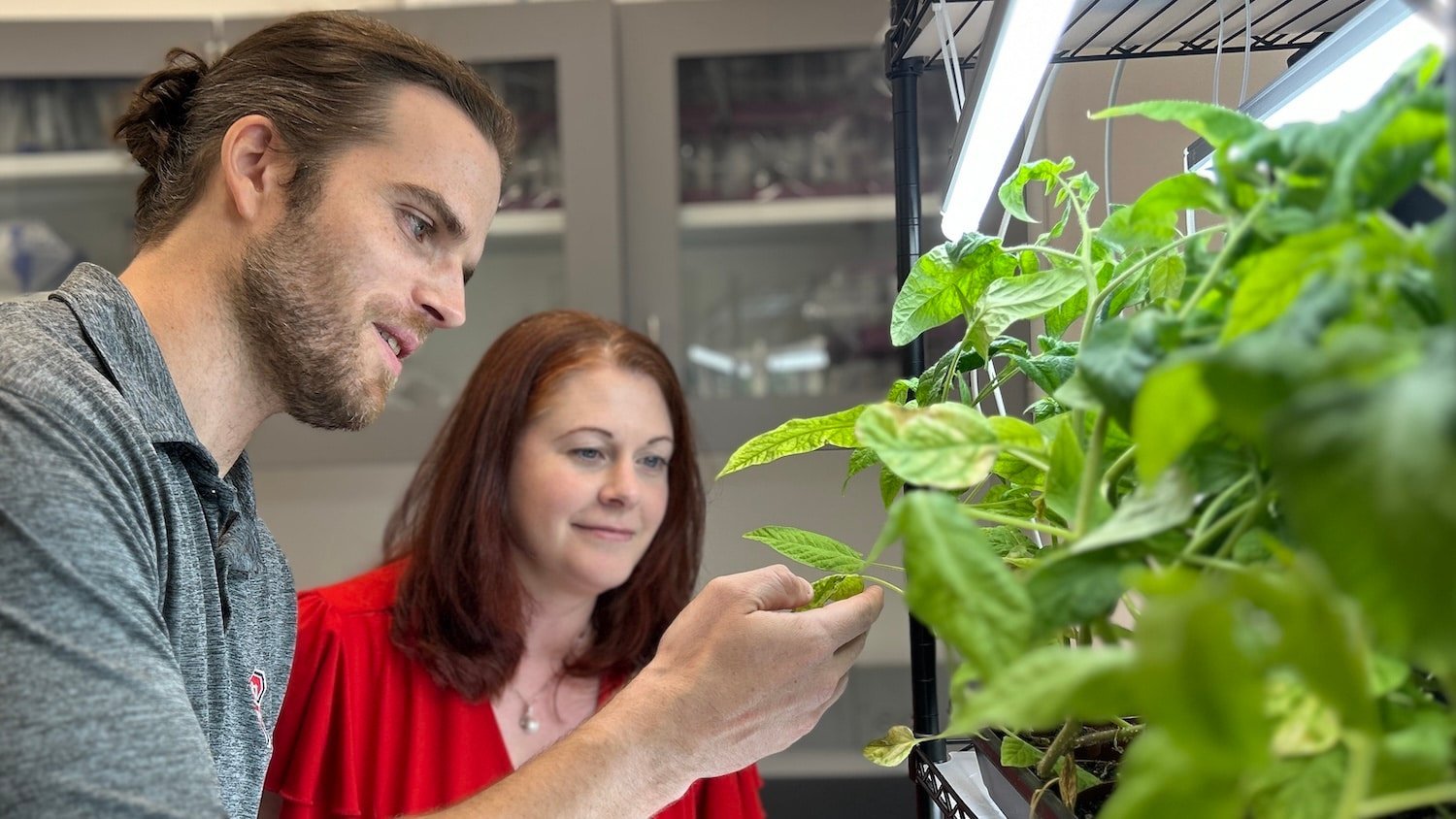 Seed2Grow, launched by the North Carolina Plant Sciences Initiative (N.C. PSI), is marking its first graduation from the ag tech incubator.