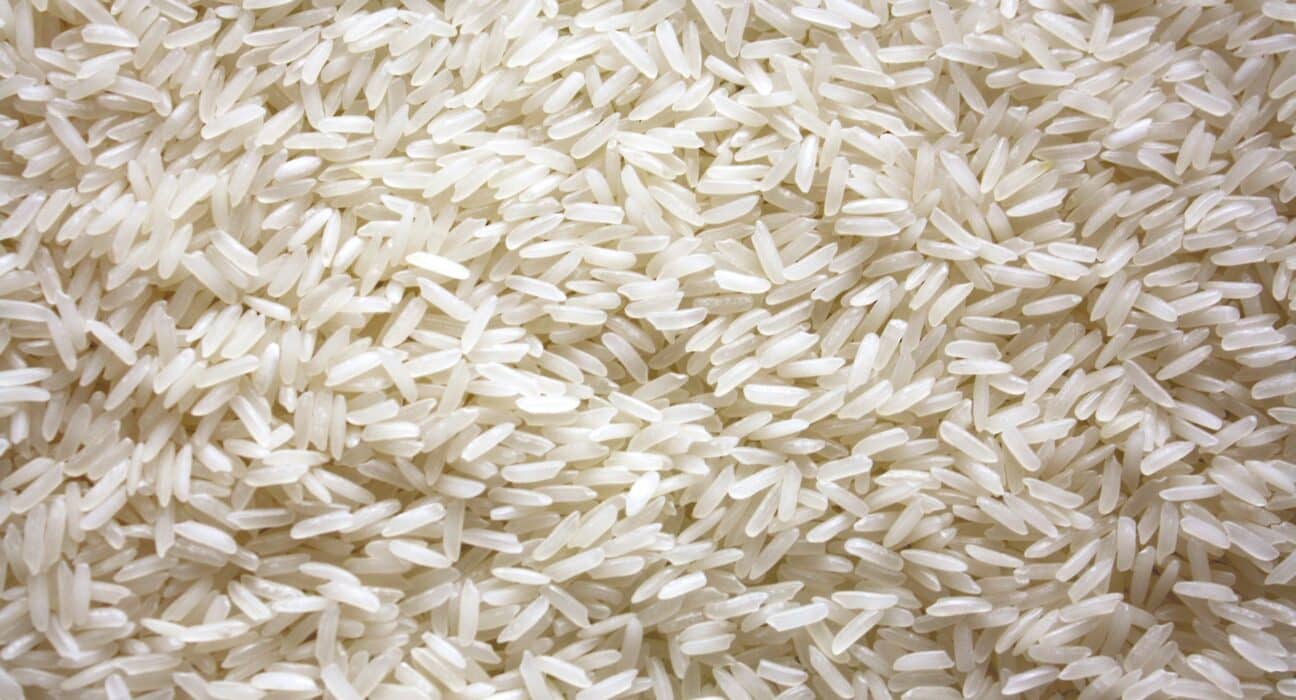 Pairwise has licensed its Fulcrum® CRISPR gene editing platform to the International Rice Research Institute (IRRI).