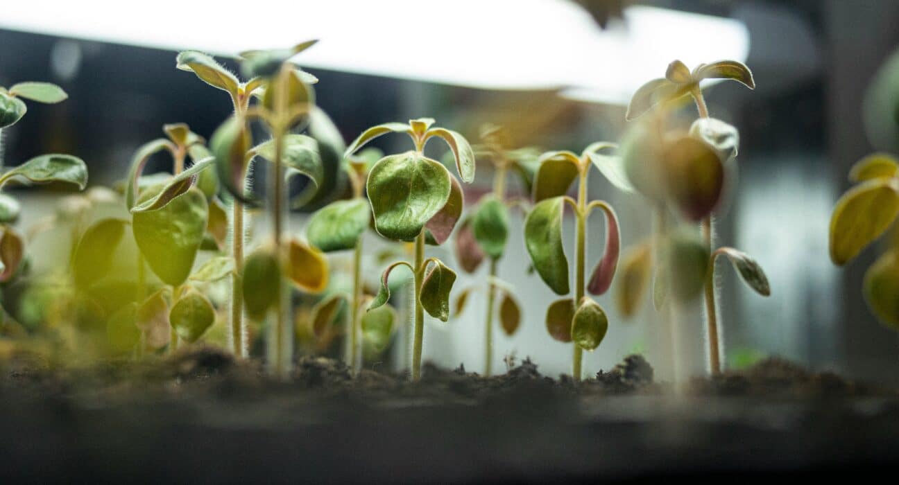 Zhejiang Smart Agriculture Park uses AI and IoT for fully automated farming, growing 5–7x more pesticide-free vegetables for major retailers.