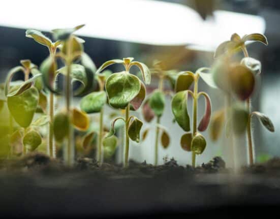 Zhejiang Smart Agriculture Park uses AI and IoT for fully automated farming, growing 5–7x more pesticide-free vegetables for major retailers.