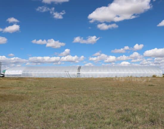 Rimaco Greens has developed a fully sealed, pressurized greenhouse system to reduce energy use and improve sustainability.