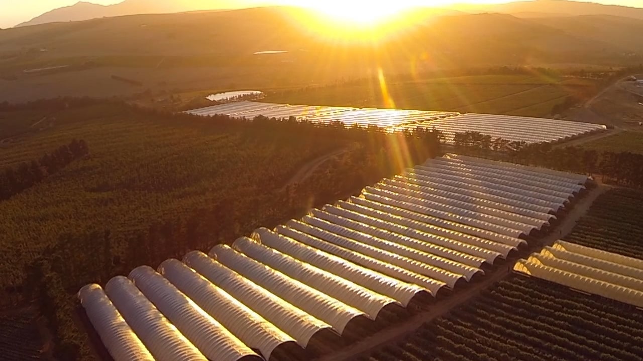 Haygrove and Ostara integrate sensors and automation into Advantage Tunnels, boosting crop yields, resilience, and grower profits.