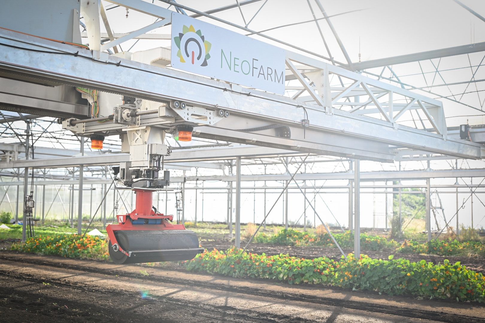 NeoFarm