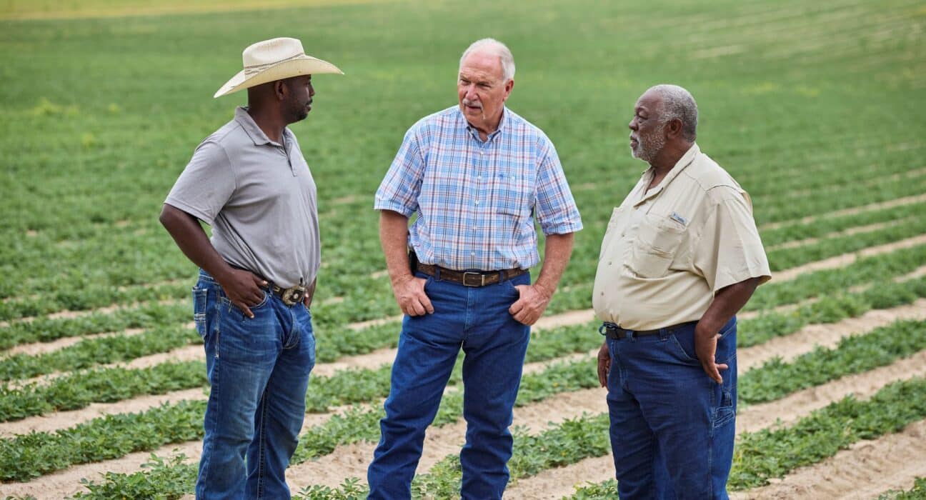 ADM and Kellanova’s cotton program spans 120K acres, cuts emissions, boosts biodiversity, and supports farmer livelihoods in the U.S.