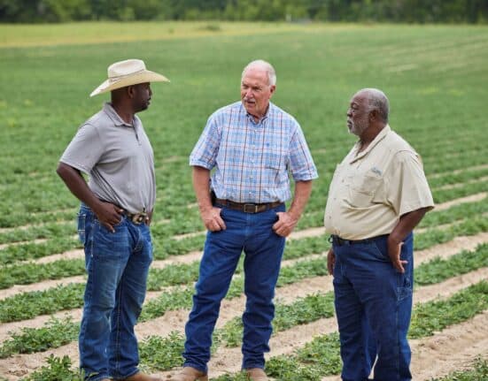 ADM and Kellanova’s cotton program spans 120K acres, cuts emissions, boosts biodiversity, and supports farmer livelihoods in the U.S.