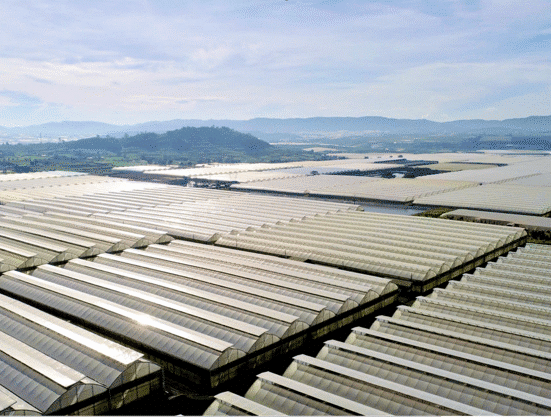 Hasfarm Holdings Limited entered into a Scheme Implementation Agreement to acquire Lynch Group Holdings Limited in a A$270M deal.