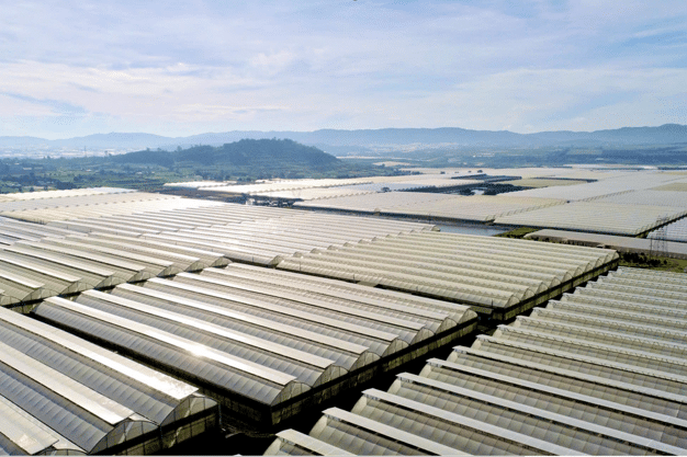 Hasfarm Holdings Limited entered into a Scheme Implementation Agreement to acquire Lynch Group Holdings Limited in a A$270M deal.