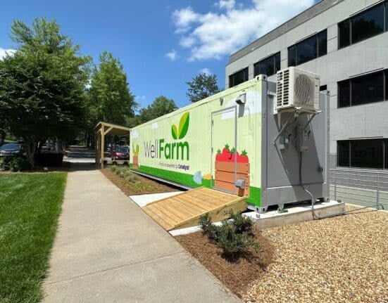 Explore the food as medicine approach in healthcare through vertical farming. Discover its benefits for patient nutrition and recovery.