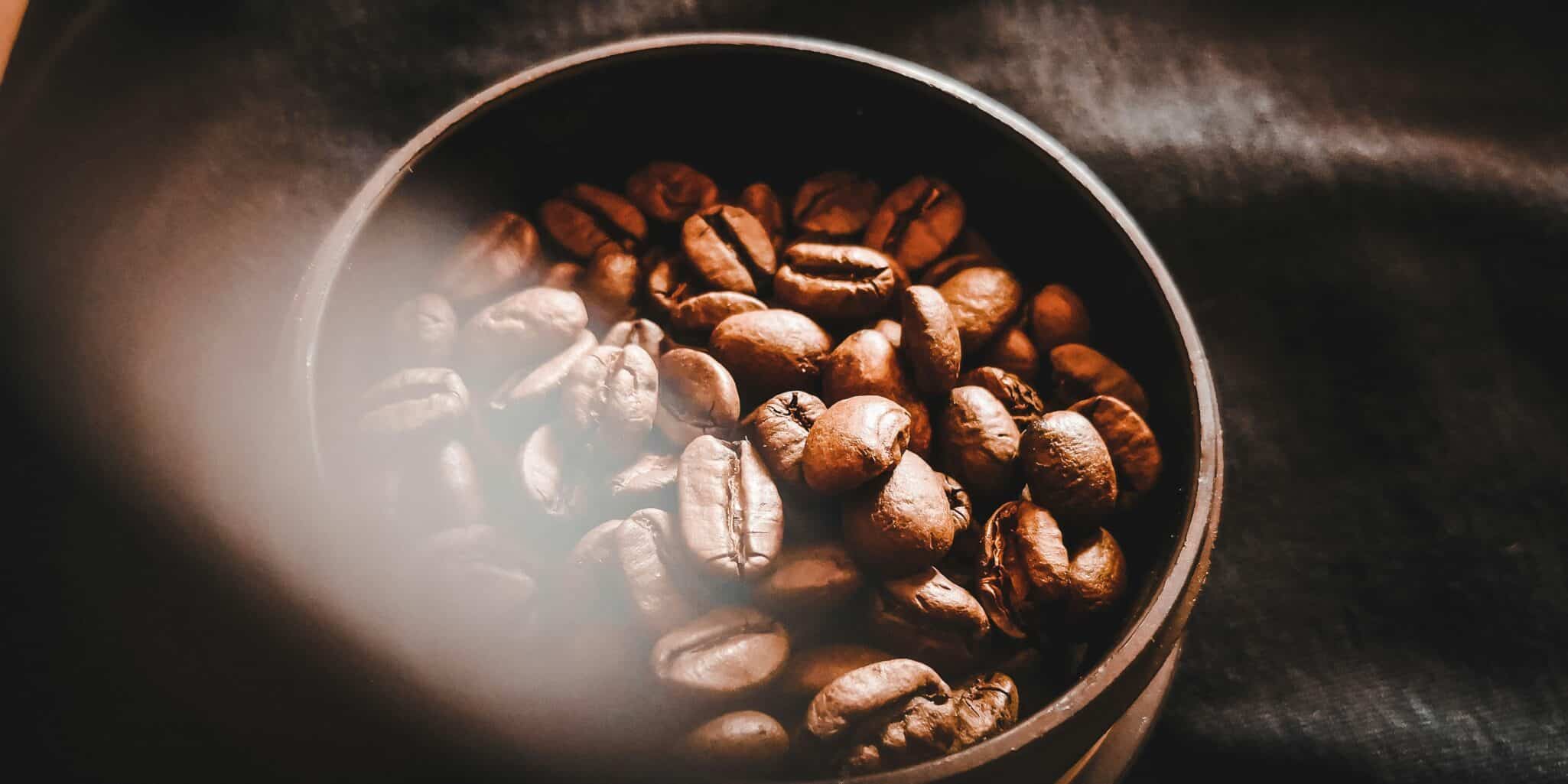 Rainforest Alliance launches Regenerative Agriculture Standard, certifying coffee farms for soil, climate, biodiversity & livelihoods.