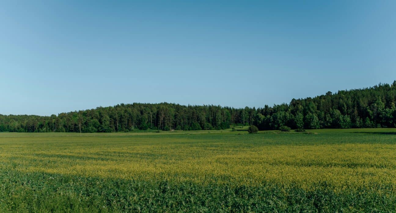 Agreena launches Agatha, an AI-powered assistant that helps farmers make confident, data-driven decisions using satellite insights.