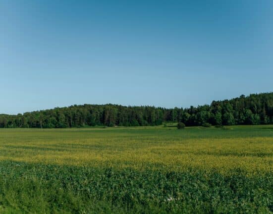 Agreena launches Agatha, an AI-powered assistant that helps farmers make confident, data-driven decisions using satellite insights.