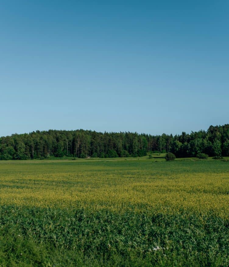 Agreena launches Agatha, an AI-powered assistant that helps farmers make confident, data-driven decisions using satellite insights.