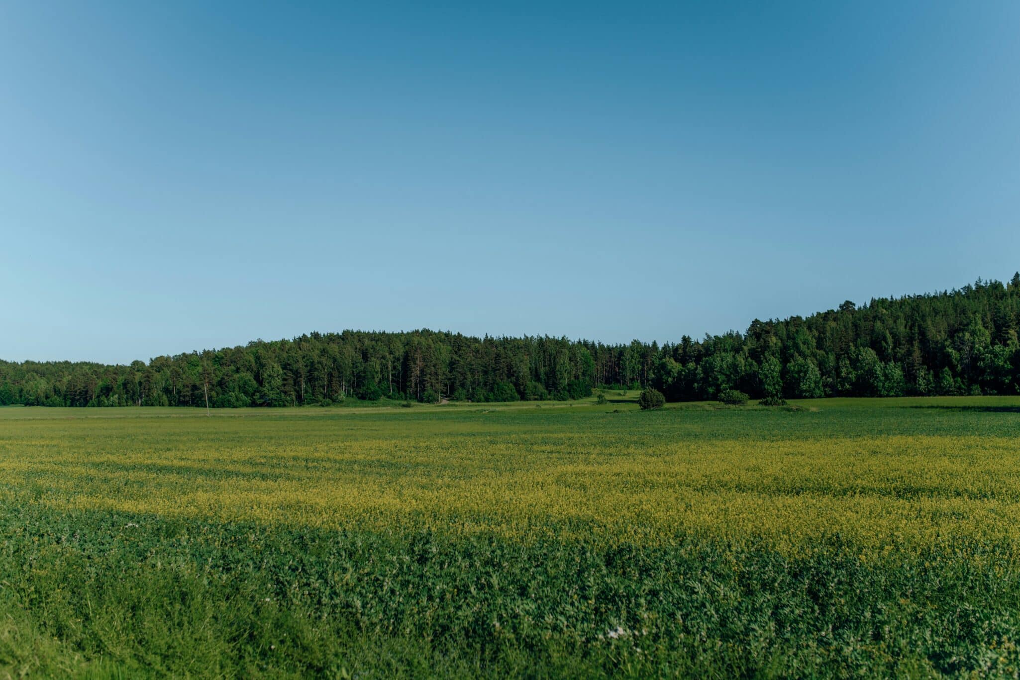 Agreena launches Agatha, an AI-powered assistant that helps farmers make confident, data-driven decisions using satellite insights.