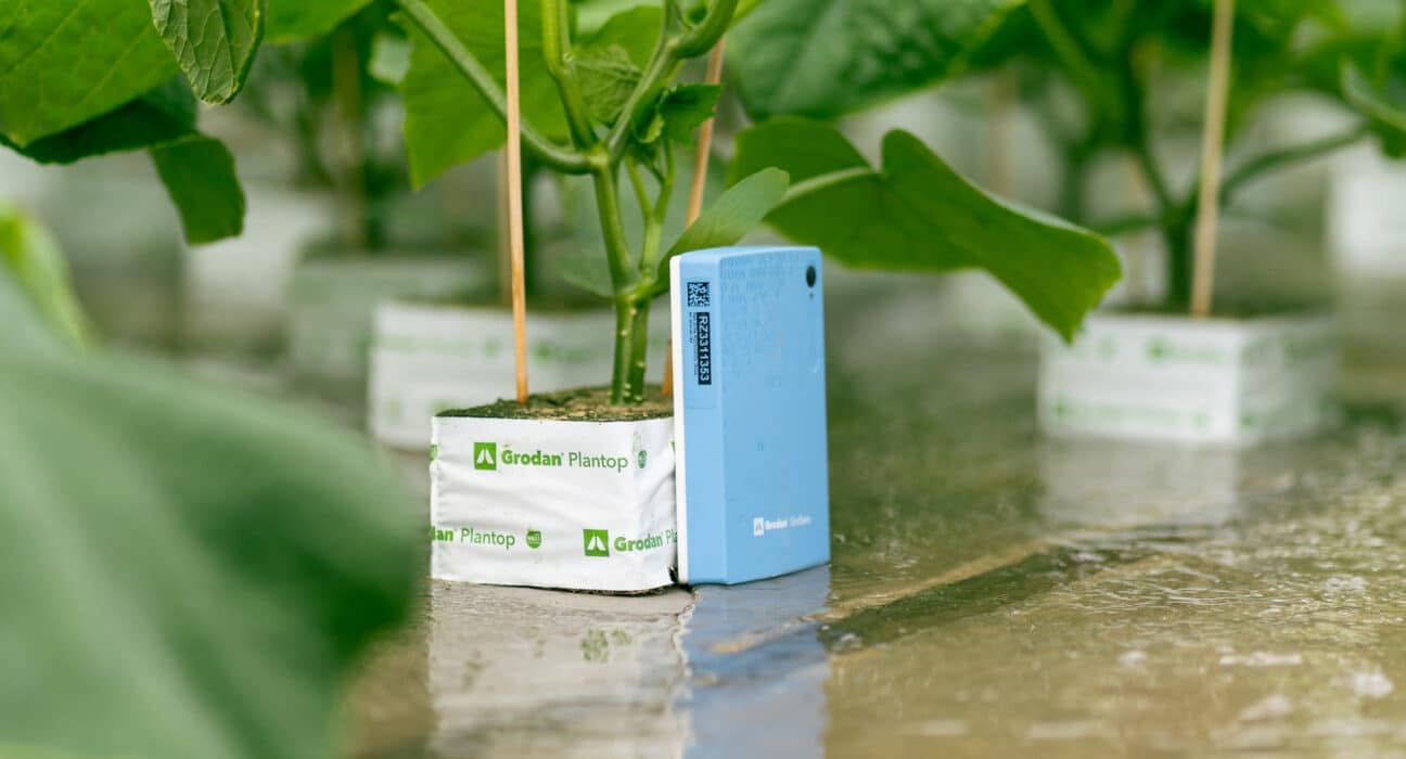 Grodan debuts patented vermiculite-free plugs and blocks for tomato, pepper, and cucumber propagation, improving safety and crop uniformity.