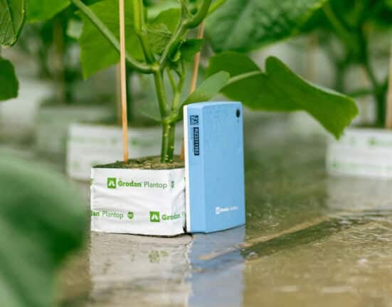 Grodan debuts patented vermiculite-free plugs and blocks for tomato, pepper, and cucumber propagation, improving safety and crop uniformity.