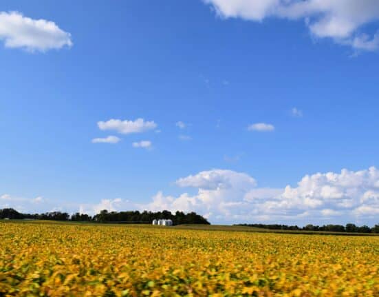 Farm Business Farm Management expands into Indiana, offering farmers tax, accounting, and financial services tailored to agriculture.