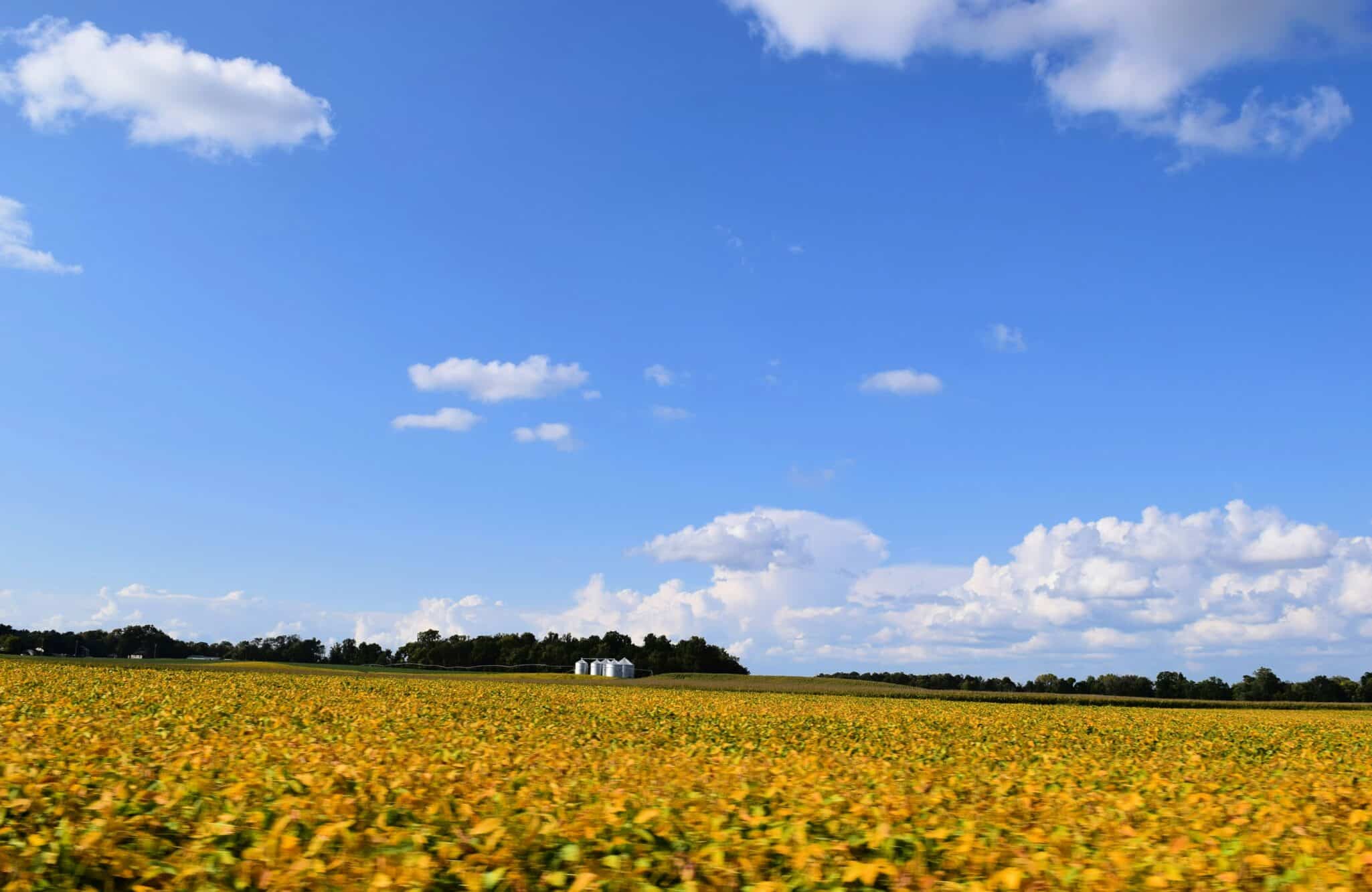 Farm Business Farm Management expands into Indiana, offering farmers tax, accounting, and financial services tailored to agriculture.
