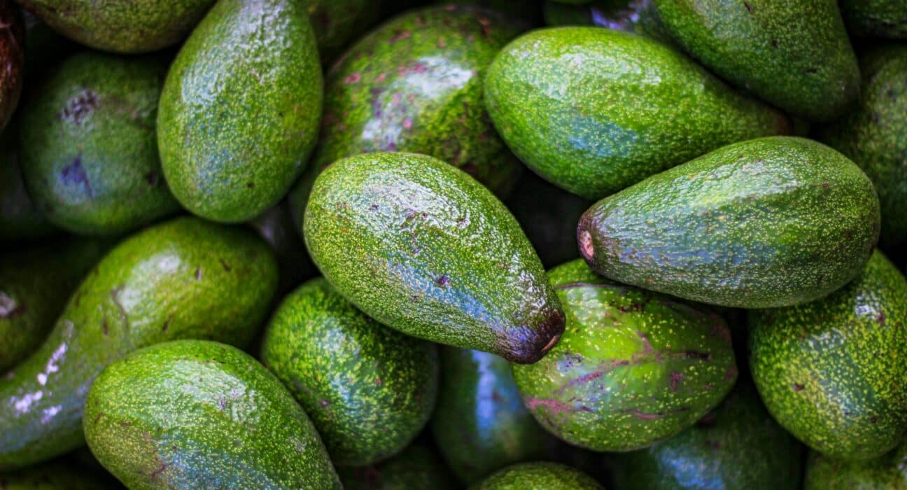 Calavo Growers posts Q3 FY25 sales of $178.8M, $15.1M adjusted EBITDA; Fresh pressured by FDA costs, Prepared up 40%.
