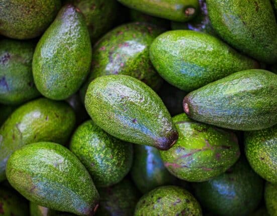 Calavo Growers posts Q3 FY25 sales of $178.8M, $15.1M adjusted EBITDA; Fresh pressured by FDA costs, Prepared up 40%.
