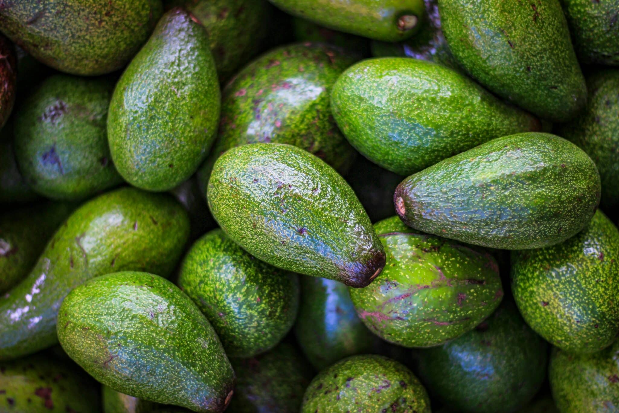 Calavo Growers posts Q3 FY25 sales of $178.8M, $15.1M adjusted EBITDA; Fresh pressured by FDA costs, Prepared up 40%.