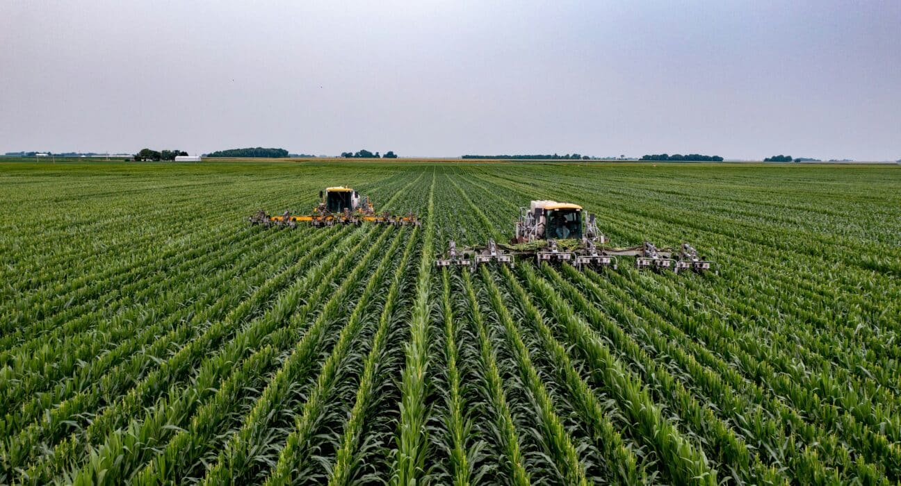 Explore how accelerating agtech startups can fast-track agricultural innovation and bring new technologies to market.