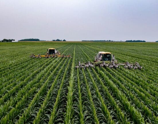 Explore how accelerating agtech startups can fast-track agricultural innovation and bring new technologies to market.