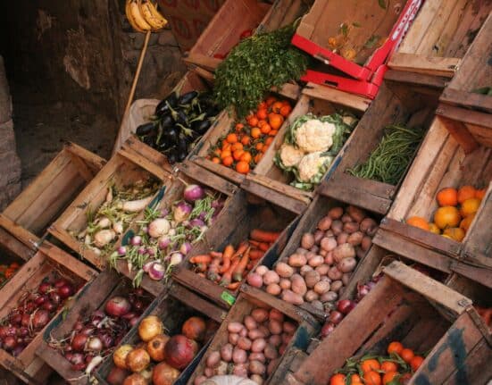 Helios AI raises $4.7M seed funding and launches Helios Horizon, an AI tool for food supply chains covering 75+ commodities.