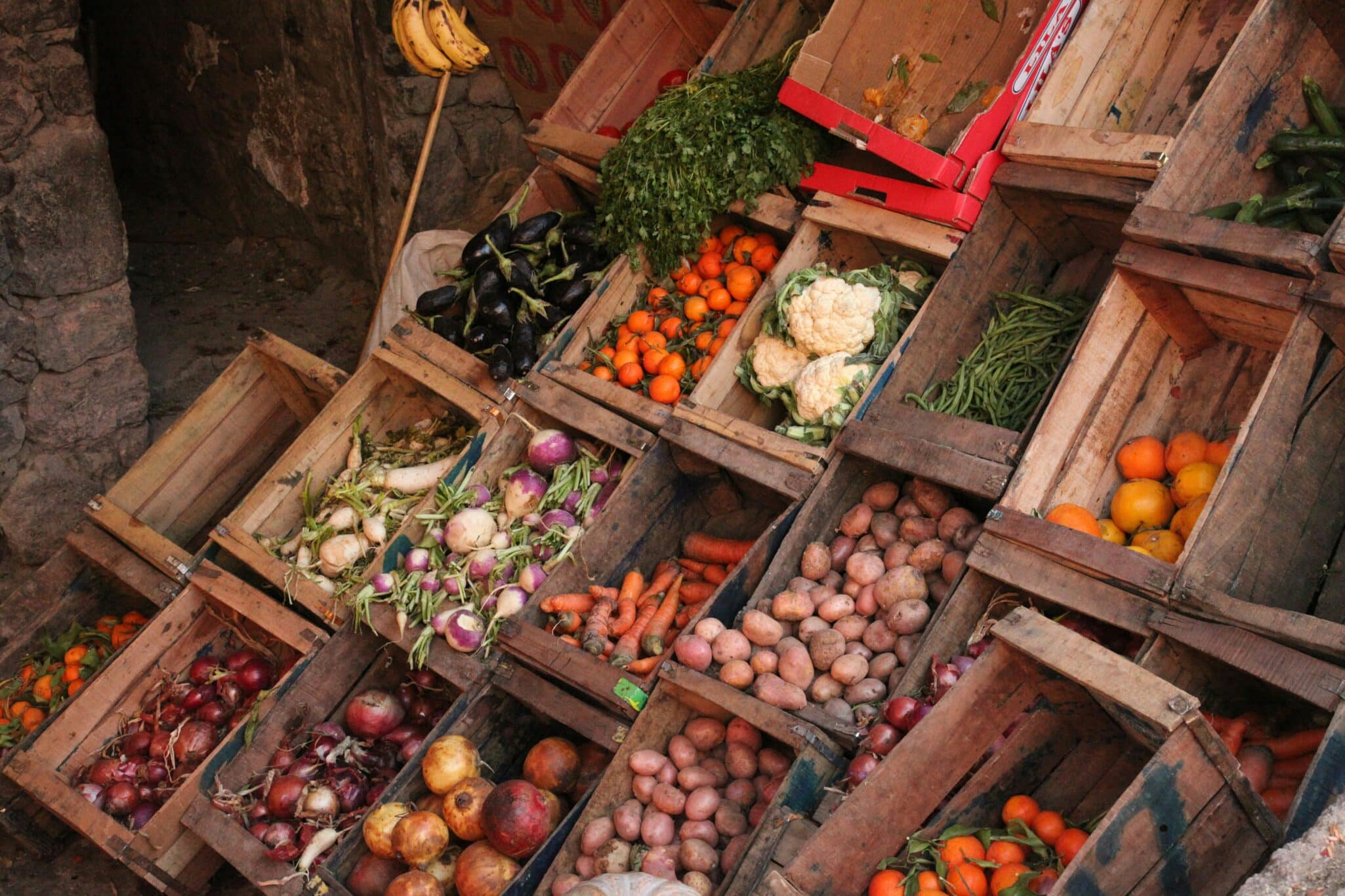 Helios AI raises $4.7M seed funding and launches Helios Horizon, an AI tool for food supply chains covering 75+ commodities.