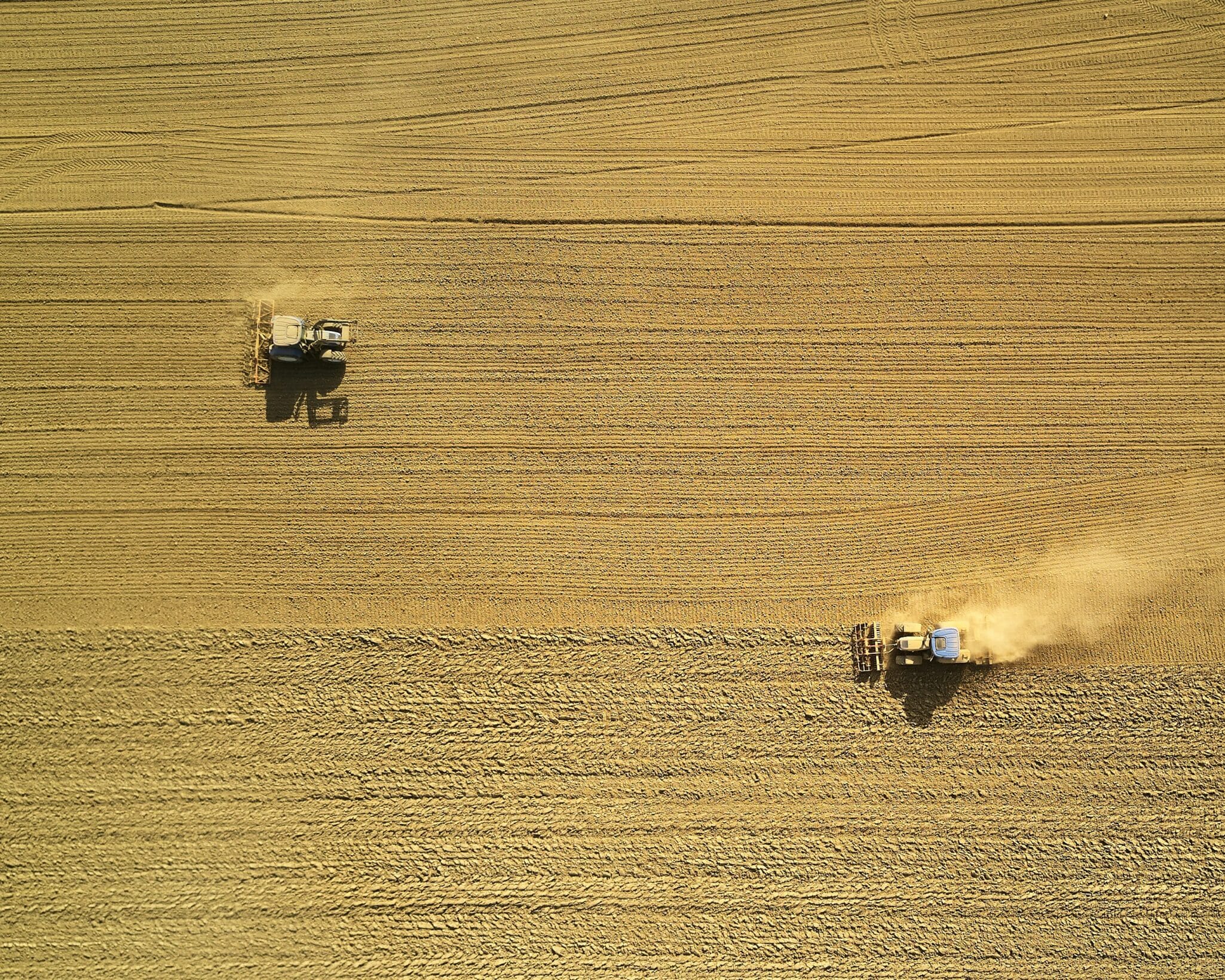 Massimo Group strengthens retail partnership with major U.S. farm & ranch chain, expanding product lineup and nationwide reach.