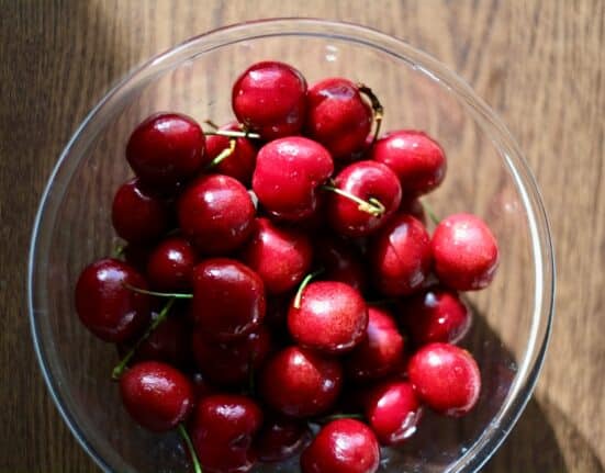 Sun World and Pairwise form a joint venture to develop a pitless cherry, combining breeding expertise with the Fulcrum® platform.