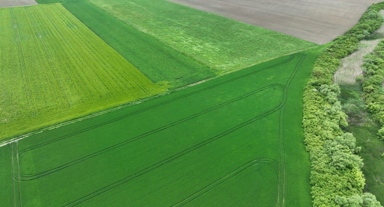 Messium raised £3.3M in seed funding to advance its mission of transforming farm fertilizer management with satellite and AI technology.