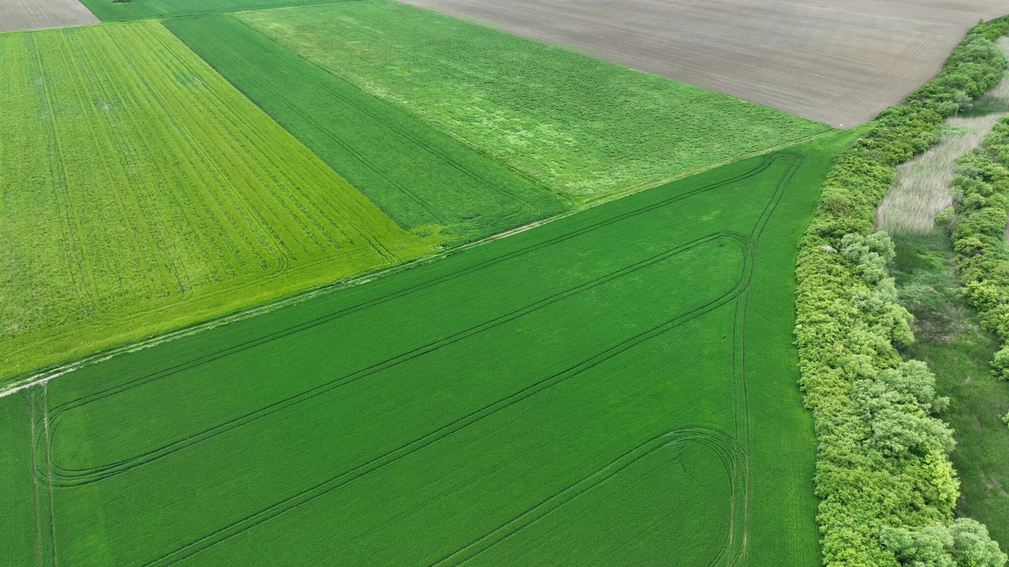 Messium raised £3.3M in seed funding to advance its mission of transforming farm fertilizer management with satellite and AI technology.
