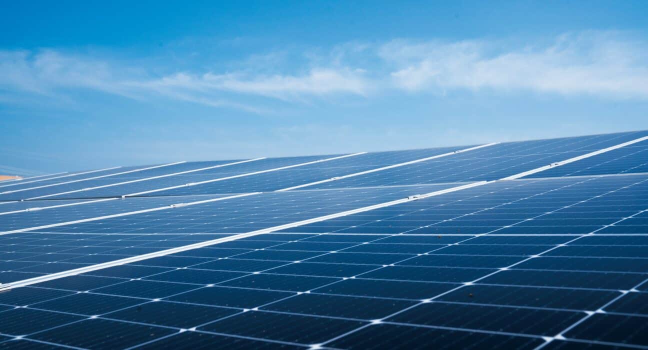 feld.energy announced the close of a €10 million seed funding round aimed at expanding its agricultural photovoltaics (Agri-PV) platform.