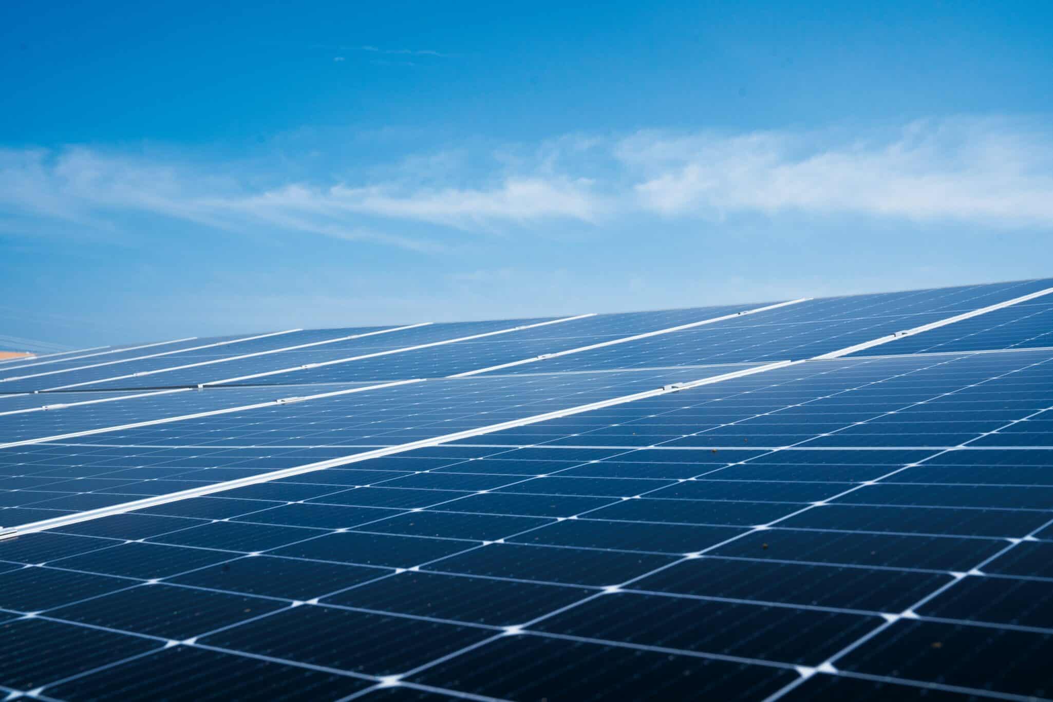 feld.energy announced the close of a €10 million seed funding round aimed at expanding its agricultural photovoltaics (Agri-PV) platform.