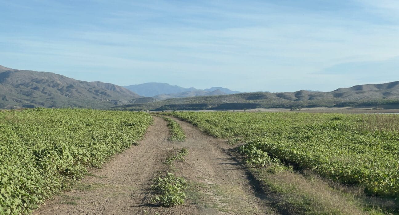 UpTerra appoints Debra Baker as CFO to drive operational efficiency and scalability, strengthening its mission to support farmers.